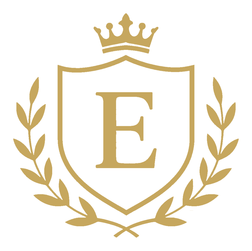 e-lekcje logo